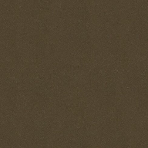R&E Paint Supply Compatible with Honda YR542M, Mesa Beige Automotive Paint, 8oz in Saudi Arabia