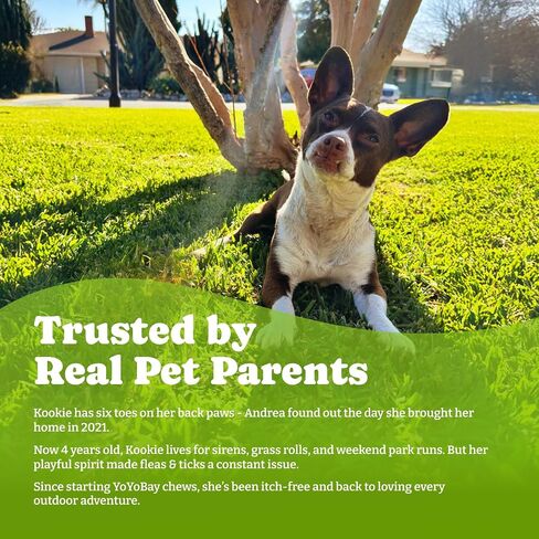 Flea & Tick Prevention for Dogs Chewables, Natural Dog Flea and Tick Control Treatment, Oral Flea Pills, Dogs Supplement, Natural Shield 5-in-1 Protection, Beef & Carrot Flavor, 70 Soft Chews in Saudi Arabia