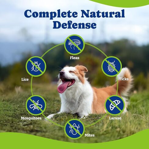 Flea & Tick Prevention for Dogs Chewables, Natural Dog Flea and Tick Control Treatment, Oral Flea Pills, Dogs Supplement, Natural Shield 5-in-1 Protection, Beef & Carrot Flavor, 70 Soft Chews in Saudi Arabia