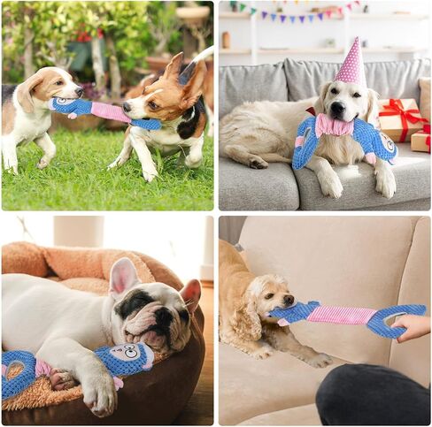 5pcs Dog Toys, Dog Chew Toys Tug of War Doggie Rope Toy, Tough Squeaky Toy for Small and Medium Breed for Teeth Cleaning in Saudi Arabia