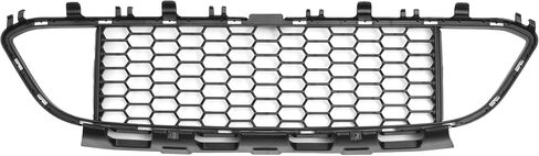 X Autohaux No.51118068124 Grille Grille Grille Grille Grille Lower Lower For BMW 320i 2013-2018 in Saudi Arabia