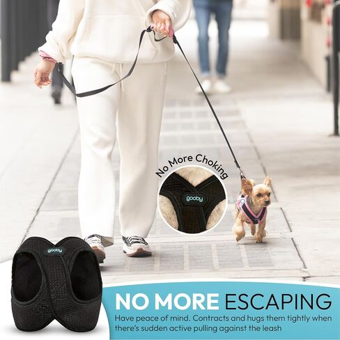 Gooby Escape Free Easy Fit X, Seattle Blue, Large in Saudi Arabia
