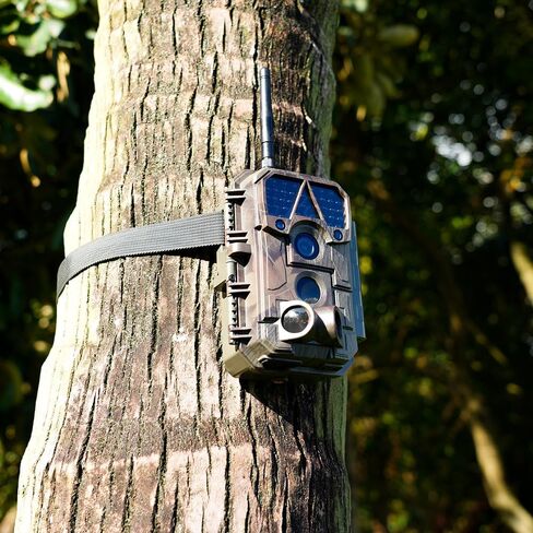 Trail Camera P100P, WiFi Bluetooth, Rechargeable, 48MP 1296p, 100ft No-Glow Night Vision, IP66 Waterproof, Fast 0.1s Trigger Speed Motion Activated, Camo in Kuwait