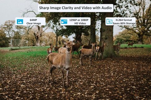 Trail Camera P100P, WiFi Bluetooth, Rechargeable, 48MP 1296p, 100ft No-Glow Night Vision, IP66 Waterproof, Fast 0.1s Trigger Speed Motion Activated, Camo in Kuwait