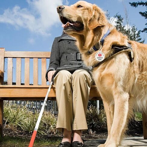 لا تقم بتصحيح Pet 2 PCS معرف خدمة الكلب التي تعلق بسهولة على ذوي الياقات البيضاء ، وتسخير (متوسطة 1.50 × 5.12) in Kuwait