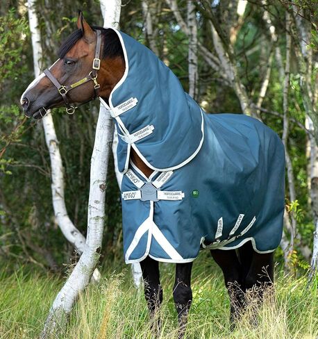 Horseware Ireland Amigo AME 12 Plus Turnout Lite Teal/Grey 81 in Saudi Arabia