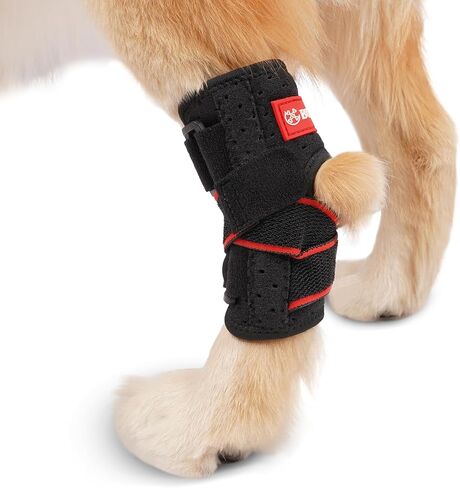 Dog Leg Brace for Rear Hock Built-In Metal Spring Strips Dog Hock Brace Rear Leg Support for Sprains, Arthritis, Ligament Injuries, Post-Op Recovery with Adjustable Compression Straps (Medium) in Saudi Arabia