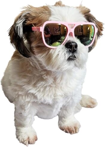G045-jnst Dog 15-25lbs Small to Medium Breeds Star Shape Costume Puppy Cat Pet Sunglasses (Black) in Saudi Arabia