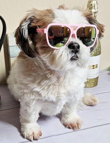 G045-jnst Dog 15-25lbs Small to Medium Breeds Star Shape Costume Puppy Cat Pet Sunglasses (Black) in Saudi Arabia