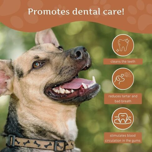 Wildfang® Coffee Wood with Salmon Oil Dog Chew - Natural Woods Stick for Dogs, Wood Dog Chewing Bone Toy, Coffee Bones Sticks for Dogs (Small) in Kuwait