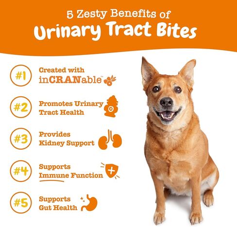 Zesty Paws Cranberry Urinary Tract Bites for Cats - Kidney & Urinary Tract Health - Soft Chews with D-Mannose, Vitamin B6 & L-Arginine - Immune & Gut Support - Bacon - 60 Count in Saudi Arabia