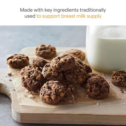 Munchkin Milkmakers Lactation Cookie Bites ، الكراميل المملح للشوكولاتة ، 10 CT in Saudi Arabia