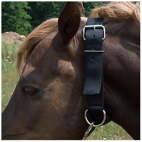 Basic Picket Line Neck Collar