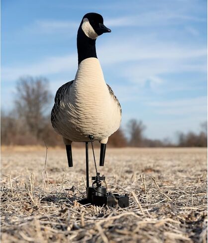 شرك الطيور XDuck in Kuwait