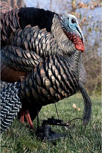 شرك الطيور XDuck in Kuwait