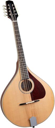 TM-325 Standard Celtic Octave Mandolin with Hardshell Case - Natural Top in Saudi Arabia