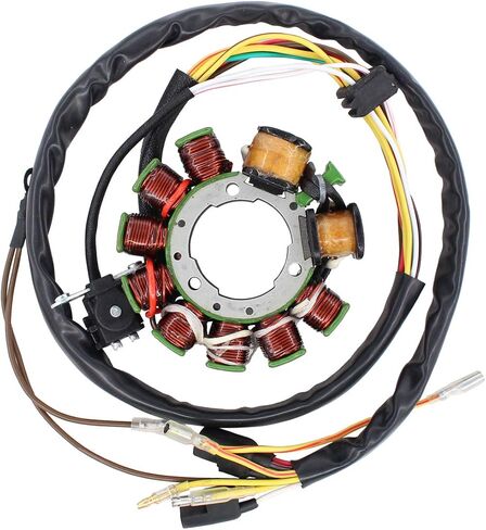 NewYall Stator for Polaris in Saudi Arabia