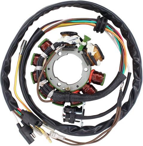 NewYall Stator for Polaris in Saudi Arabia