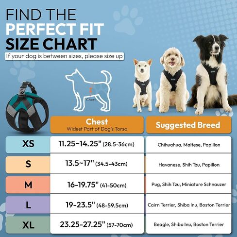 Gooby Soft Mesh X Step in Dog Harness - Blue, Small in Saudi Arabia