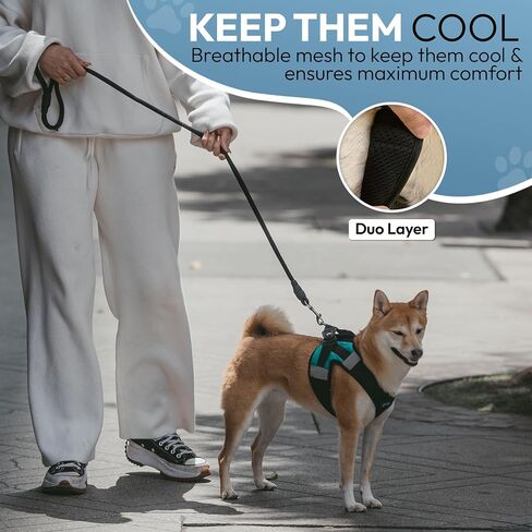 Gooby Soft Mesh X Step in Dog Harness - Blue, Small in Saudi Arabia
