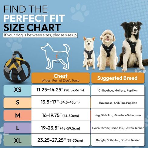 Gooby Soft Mesh X Step in Dog Harness - Blue, Small in Saudi Arabia