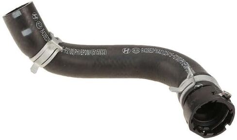 Lower Radiator Hose - Compatible with 2017-2020 Hyundai Elantra 2.0L 4-Cylinder in Saudi Arabia