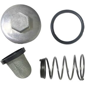 Hammerhead GTS150GTS Platinum 150, GoKart Oil Filter Kit in Saudi Arabia