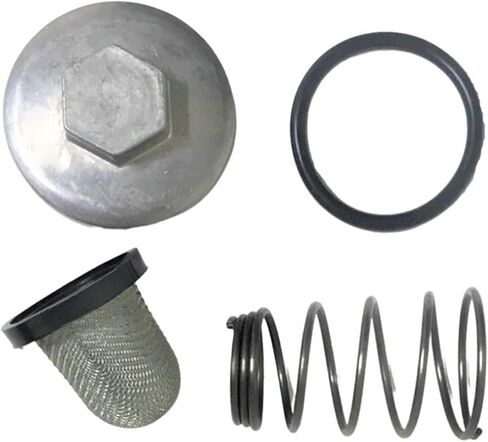 Hammerhead GTS150GTS Platinum 150, GoKart Oil Filter Kit in Saudi Arabia