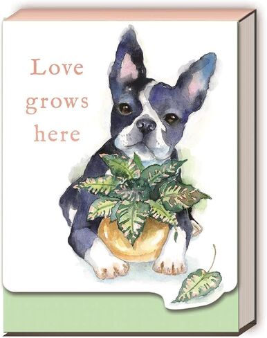 Punch Studio Kelly Green Home Grown Tarragon, Mini Pocket Notepad, 75 Pages (33041) in Saudi Arabia