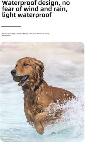 تعقب الكلاب Cat Tracker ، متعقب ماء لـ Pet Only iOS ، طوق تتبع مواقع الأجهزة المضادة للحيوانات الأليفة ، يعمل في جميع أنحاء العالم مع أي طوق ، ولا توجد رسوم أخرى ، ابحث عن تعقب بلدي (أسود) in Kuwait