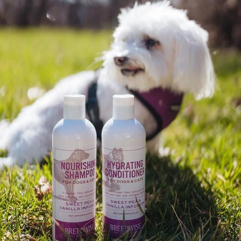 Dog Shampoo, Sweet Pea Vanilla Fragrance Pet Shampoo, Gentle and Effective Cleaning for Pets, 12oz in Saudi Arabia