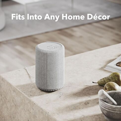 Audio Pro A10 MKII Wireless Multiroom Speaker, WiiM Edition | High Fidelity, Bluetooth, WiFi | Compatible with AirPlay 2, Google Cast, Siri, WiiM Home App, Stream Spotify, Tidal & More, Dark Gray in Kuwait
