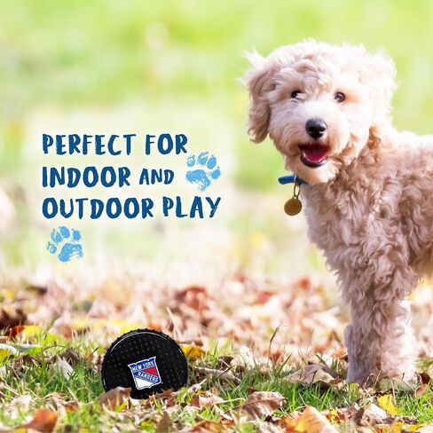 Pets First NHL NY Rangers Hard-Nylon Bacon-Flavored Hockey-Puck Chew Toy, Indestructible Dog and Cat Chewy Toy, Tug, Fetch Toy, Sporty Fun Toy for Dogs in Saudi Arabia