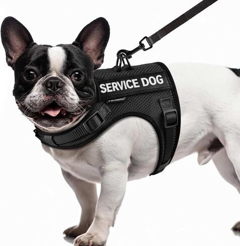 FAYOGOO Service Dog Vest for Small Dogs - Air Mesh Breathble Emotional Support Animal Vest with DIY Removable Patches - Puppy Harness and Leash Set Adjustable Neck and Chest in Saudi Arabia