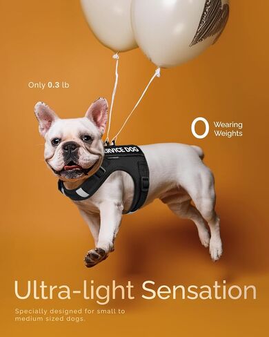 FAYOGOO Service Dog Vest for Small Dogs - Air Mesh Breathble Emotional Support Animal Vest with DIY Removable Patches - Puppy Harness and Leash Set Adjustable Neck and Chest in Saudi Arabia