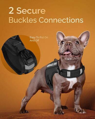 FAYOGOO Service Dog Vest for Small Dogs - Air Mesh Breathble Emotional Support Animal Vest with DIY Removable Patches - Puppy Harness and Leash Set Adjustable Neck and Chest in Saudi Arabia
