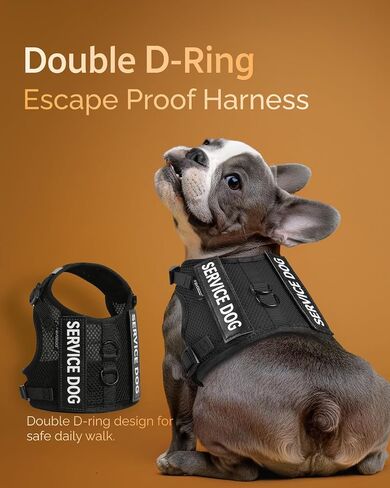 FAYOGOO Service Dog Vest for Small Dogs - Air Mesh Breathble Emotional Support Animal Vest with DIY Removable Patches - Puppy Harness and Leash Set Adjustable Neck and Chest in Saudi Arabia