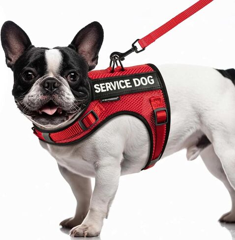FAYOGOO Service Dog Vest for Small Dogs - Air Mesh Breathble Emotional Support Animal Vest with DIY Removable Patches - Puppy Harness and Leash Set Adjustable Neck and Chest in Saudi Arabia