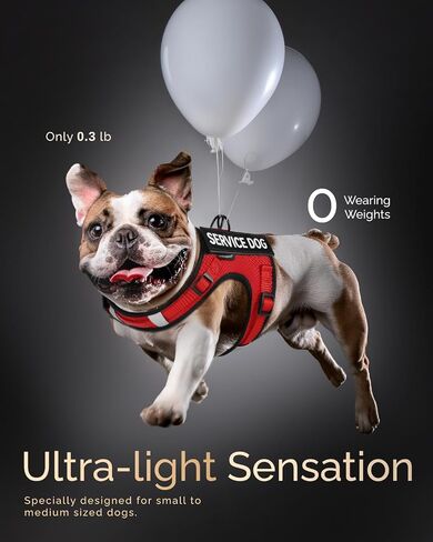 FAYOGOO Service Dog Vest for Small Dogs - Air Mesh Breathble Emotional Support Animal Vest with DIY Removable Patches - Puppy Harness and Leash Set Adjustable Neck and Chest in Saudi Arabia