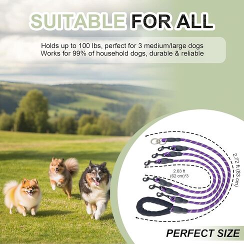 مقود 3-Dog-Dog-dog-حبل رئيسي مع مقبض مبطن ، وثلاثة مقاطع مقود قابلة للفصل ، مقطع شاق ، 4.76 قدم للمشي ، الجري ، الكلاب الصغيرة ، المتوسطة ، الكلاب الكبيرة (أخضر) in Kuwait