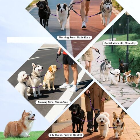 مقود 3-Dog-Dog-dog-حبل رئيسي مع مقبض مبطن ، وثلاثة مقاطع مقود قابلة للفصل ، مقطع شاق ، 4.76 قدم للمشي ، الجري ، الكلاب الصغيرة ، المتوسطة ، الكلاب الكبيرة (أخضر) in Kuwait