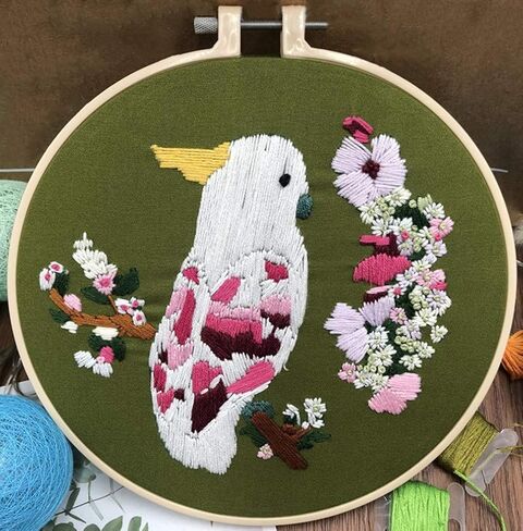 Abillyn Embroidery Starter Kit Two Parrots Stamped with Printed Pattern Cross Stitch Embroidery Kits (Parrot 2) in Saudi Arabia
