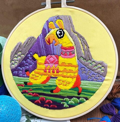 Abillyn Embroidery Starter Kit Two Parrots Stamped with Printed Pattern Cross Stitch Embroidery Kits (Parrot 2) in Saudi Arabia