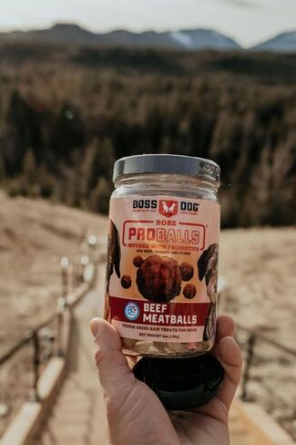 Boss Dog Boss Proballs Meatball Treats for Dogs & Cat, Beef Recipe, 6 oz Jar (Jar of 2) in Saudi Arabia