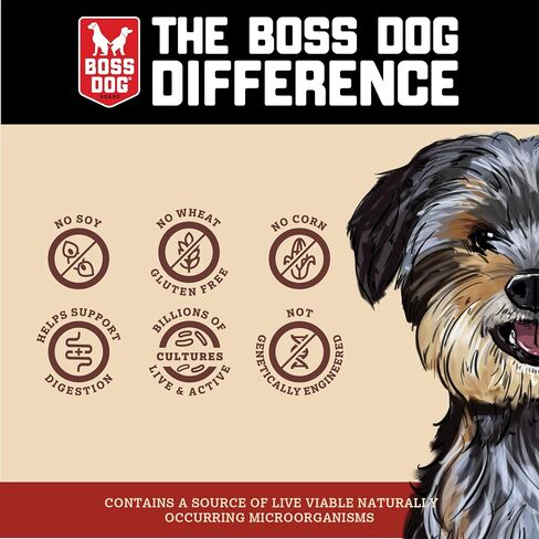 Boss Dog Boss Proballs Meatball Treats for Dogs & Cat, Beef Recipe, 6 oz Jar (Jar of 2) in Saudi Arabia