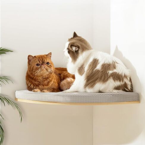Extra Large 23.6" × 12.6 Cat Wall Shelves with Soft Cushion – Wall-Mounted Furniture, Sturdy Cat Hammock for Sleeping & Climbing – Secure Perch for Large Cats & Kittens - Flat Shape in Saudi Arabia