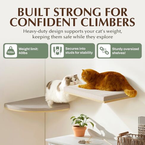Extra Large 23.6" × 12.6 Cat Wall Shelves with Soft Cushion – Wall-Mounted Furniture, Sturdy Cat Hammock for Sleeping & Climbing – Secure Perch for Large Cats & Kittens - Flat Shape in Saudi Arabia