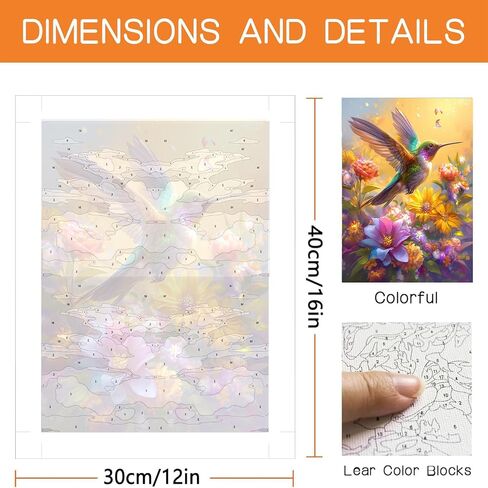 Diymood Paint by Numbers Kits for Adults Bird, DIY Oil Painting Flower Acrylic Paint by Number for Adults Beginner with Brushes for Home Wall Decor 12x16 inch in Saudi Arabia