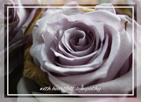 CEO Cards - Sympathy Greeting Cards (Floral Designs), 5x7 Inches, 25 Cards & 26 White Envelopes (S2001) in Kuwait