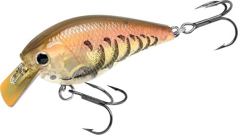 LUCKY CRAFT LC 1.0, Freshwater Bass Fishing Lure, Crank Bait, Smallmouth, Walleye, Pike, Floating, Tournament Winning, Perfect Wobbling, Squarebill, Fishing Gear, Fishing Accessories, Fishing Tackle in Kuwait
